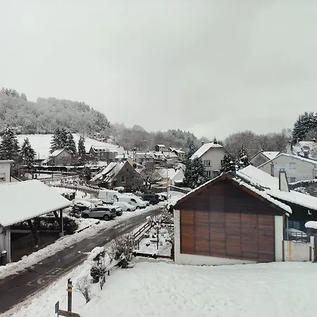 - Etoile Des Neiges - Ambiance Montagne - Renove, 2 Wifi - Randonnee La Roche Des Fees Apartment La Bourboule