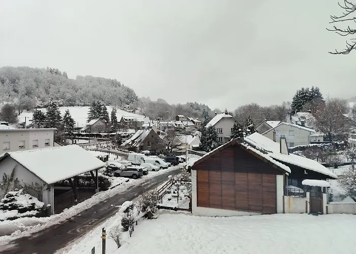 - Etoile Des Neiges - Ambiance Montagne - Renove, 2 Wifi - Randonnee La Roche Des Fees Apartment La Bourboule